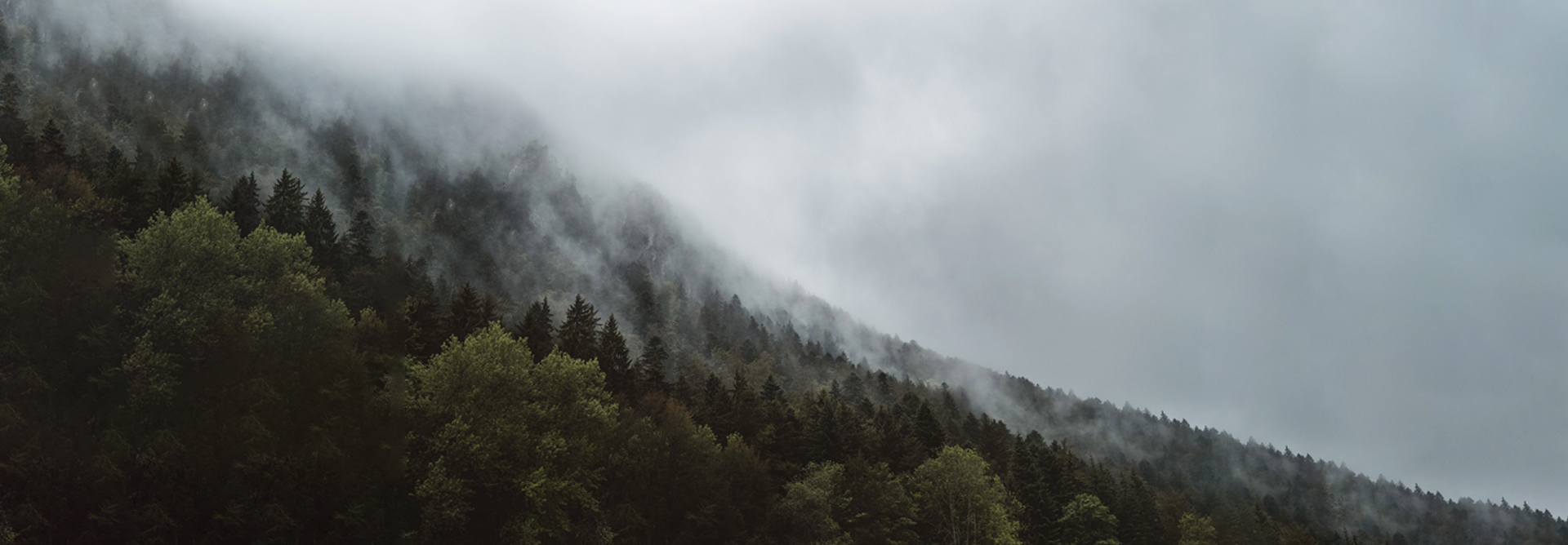 Gr&ouml;ntillverkning