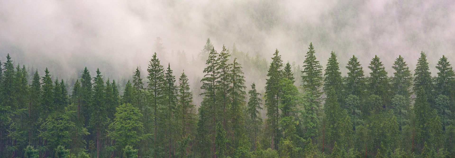 milj&ouml;v&auml;nlig m&ouml;bler